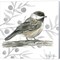 Backyard Birds II-Chickadee by Kelsey Wilson 12" x 12" Canvas Wall Art